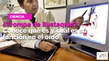 ¿Trompa de Eustaquio? Conoce qué es y cuál es su función en el oído