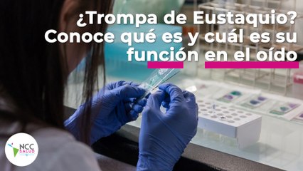 ¿Trompa de Eustaquio? Conoce qué es y cuál es su función en el oído | 111 | 19 al 25 de septiembre 2022