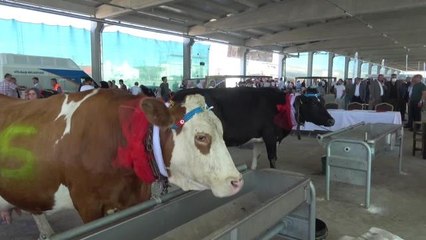 Ankara haber... Tarım Fuarı Düzenleyen Gölbaşı Belediye Belediye Başkanı Şimşek : "Üretici Elini Taşın Altına Koyacak, Her Şeyi Devletten Beklemek Olmaz"