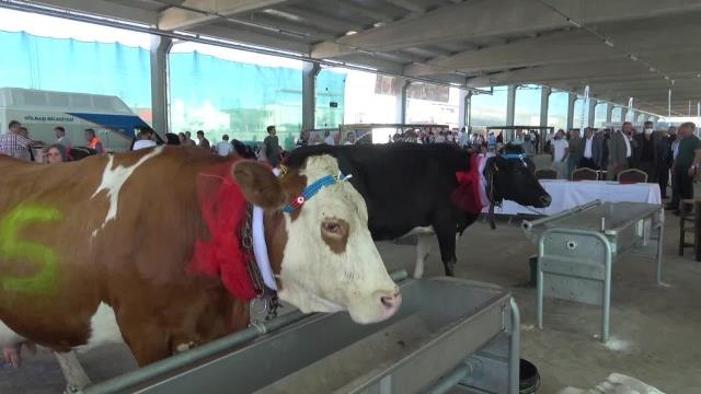 Ankara haber... Tarım Fuarı Düzenleyen Gölbaşı Belediye Belediye Başkanı Şimşek : Üretici Elini Taşın Altına Koyacak, Her Şeyi Devletten Beklemek Olmaz