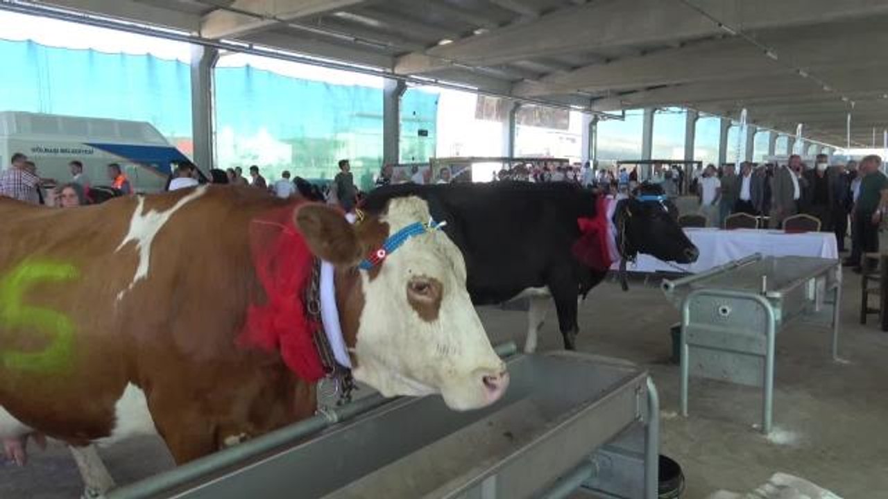 Ankara haber... Tarım Fuarı Düzenleyen Gölbaşı Belediye Belediye Başkanı Şimşek : "Üretici Elini Taşın Altına Koyacak, Her Şeyi Devletten Beklemek Olmaz"