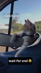 Follow me more comedy videos 