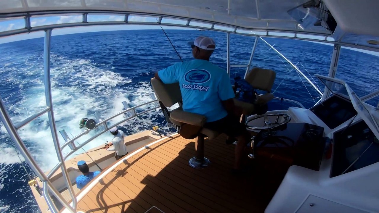 America's Backyard - Deep Sea Fishing, Outer Banks, North Carolina - OBX