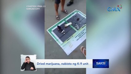 Dried marijuana, nabisto ng K-9 unit | Saksi