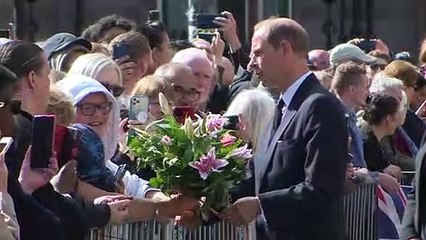 Senior royals step in as King Charles takes a break