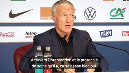 Bleus - Deschamps : "Pogba ne viendra pas [à la Coupe du monde] s'il n'est pas apte"