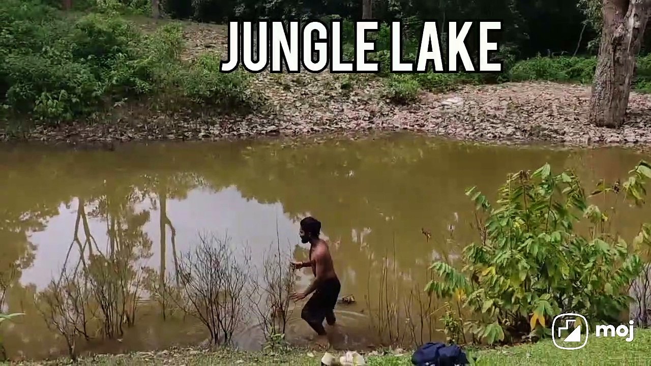Jungal Adventure