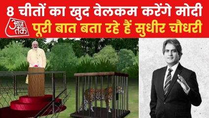 8 Cheetahs will get a grand welcome in India