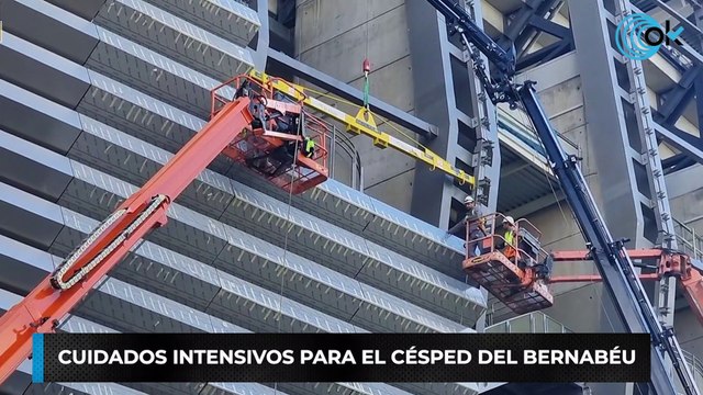 Cuidados intensivos para el césped del Bernabéu