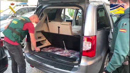 الشرطة الإسبانية تعتقل أحد أكبر شبكات غسيل الأموال في أوروبا