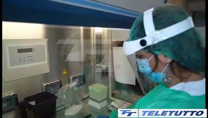 Video News - OMS: "PANDEMIA QUASI FINITA"