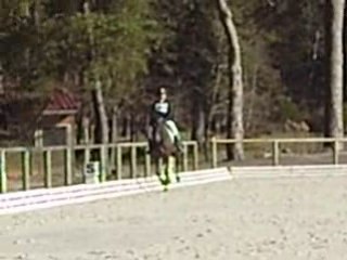 Fontainebleau 2008 008