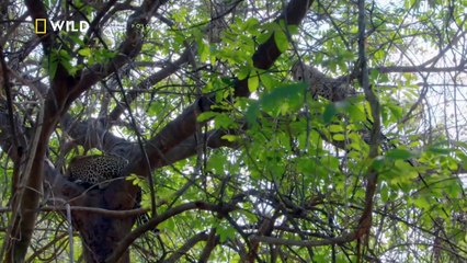 Afrikas Jäger Staffel 3 Folge 4 HD Deutsch