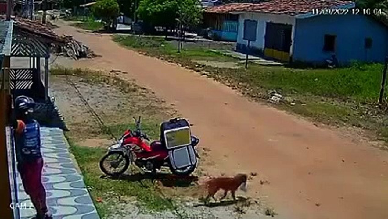 se robo el pedido