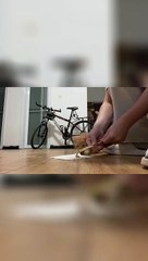 This Cat Is Not Going To Give Up Easily