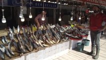 Balıkesir haberleri: Bandırma'da palamut balığına vatandaşlardan yoğun ilgi