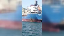 İzmit Körfezi'ni kirleten gemiye 5 milyon 27 bin lira ceza kesildi