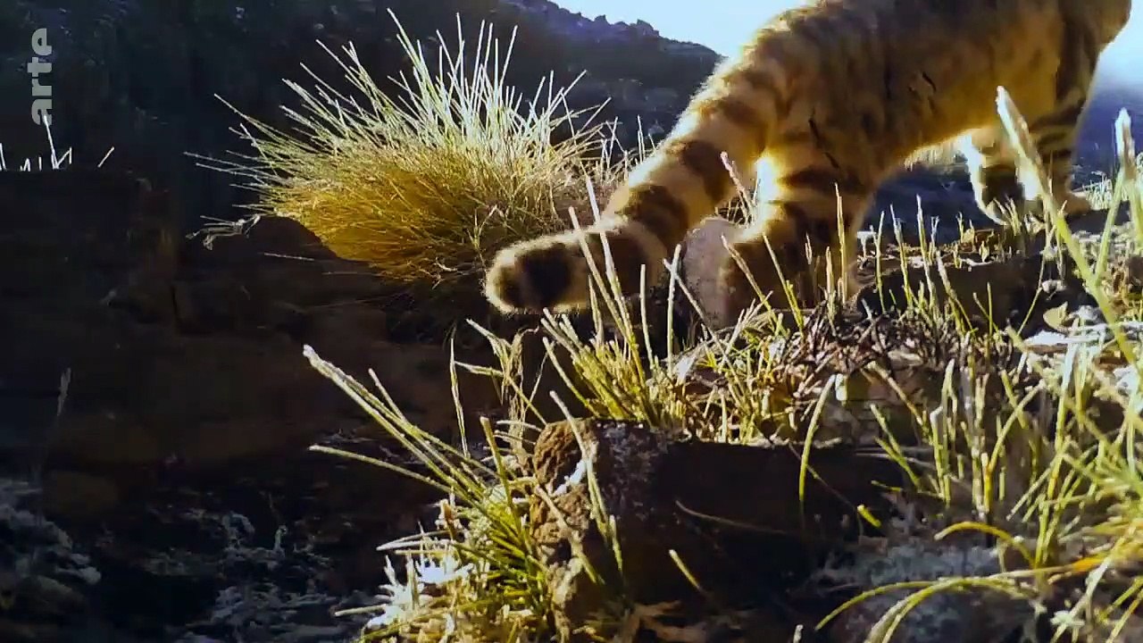 Eden auf Erden - Die letzten Paradiese Staffel 1 Folge 5 HD Deutsch