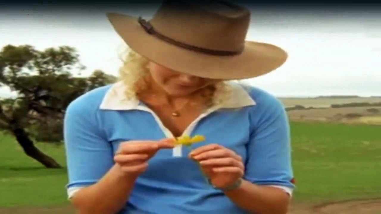 McLeods Töchter Staffel 2 Folge 17 HD Deutsch