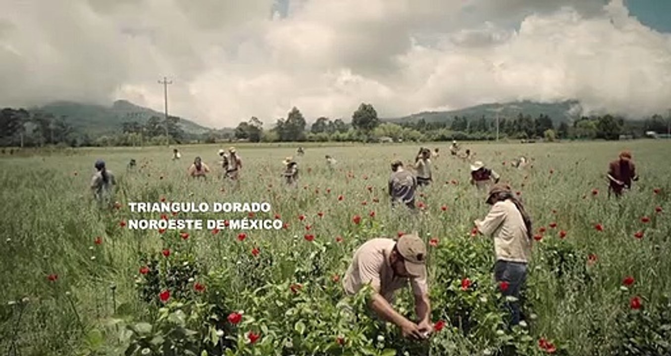 El Chapo Staffel 2 Folge 8 HD Deutsch