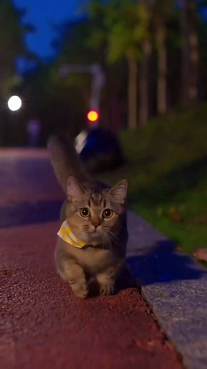 Rate her cuteness 1-10