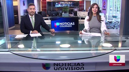 Mujer de 89 años y su nieto atacados por pitbulls