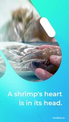 I think you should  know this