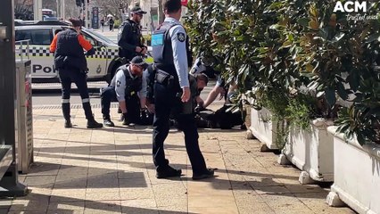 Arrest at  City Bus Interchange in Civic | September 16, 2022 | Canberra Times