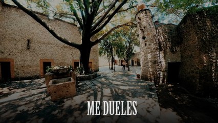 José Manuel Figueroa - Me Dueles