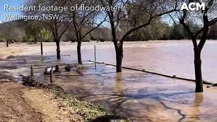 Wellington floodwaters | Central Western Daily | September 16, 2022