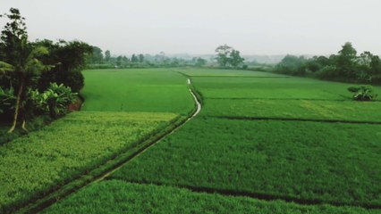 my first vlog  and my first video on dailymotion  #myfirstvlog  #dailymotion