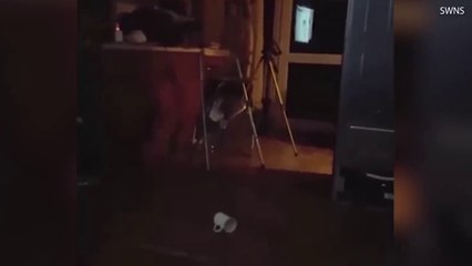 10 PENAMPKAN HANTU NYATA  "Top 10 SCARIEST ghost encounters"