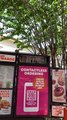 Squirrel Family Resides in Dunkin' Menu