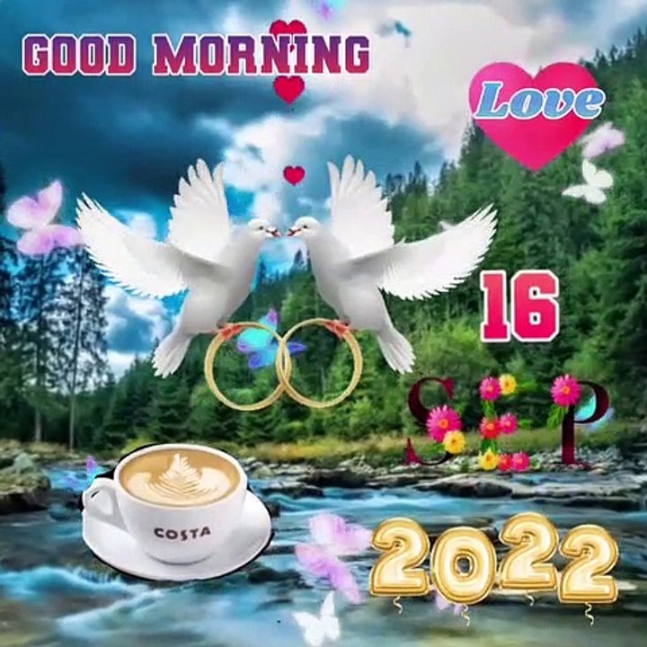 GOOD MORNING VIDEO