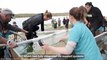 Grey nurse shark rescue at Lake Conjola | September 16, 2022 | Newcastle Herald