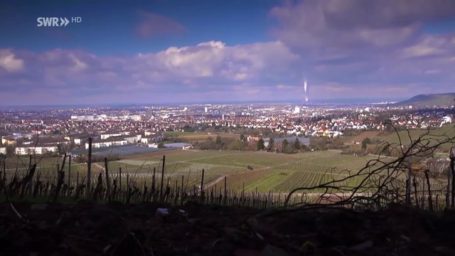 Im Land der Lügen: Wie uns Politik und Wirtschaft mit Zahlen manipulieren | Doku HD