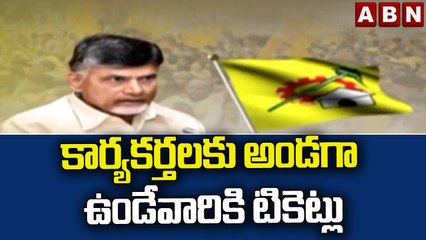 Chandrababu : కార్యకర్తలకు అండగా ఉండేవారికి టికెట్లు || ABN Telugu