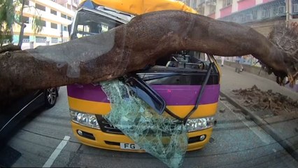 Large tree crashes onto school bus in Hong Kong, injuring three people