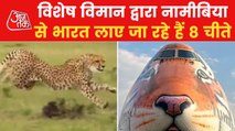 Flight carrying cheetahs from Namibia to land in Gwalior