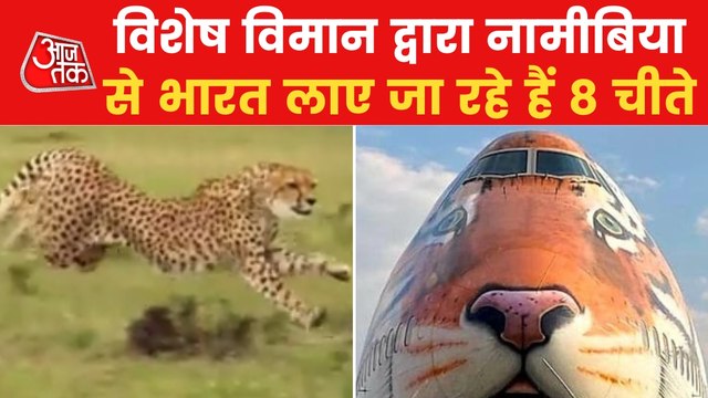 Flight carrying cheetahs from Namibia to land in Gwalior