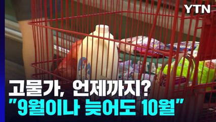 물가, 언제까지 치솟나?..."정점 지나도 고공행진" / YTN
