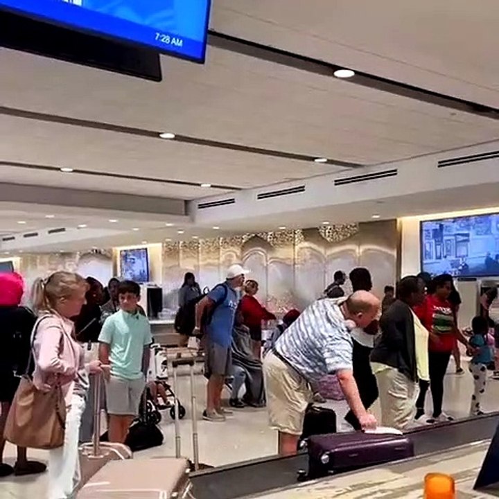 Funny videos