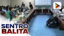 Pondo para sa fuel subsidy sa 2023 nat’l budget, pinatitiyak ng mga senador