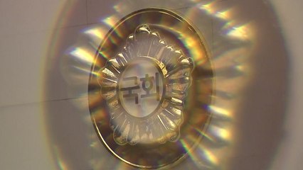 [더뉴스] '영빈관·태양광' 여야 공방 격화..."양치기 예산" VS "도둑이 제발저려" / YTN