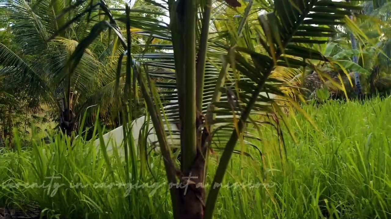 The serenity of doing something on a mission