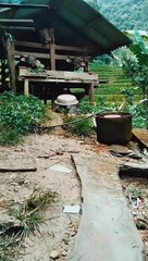 Kumpulan MEME I'am addicted to Tik Tok TERNGAKAK!  TERGOKIL!!!!