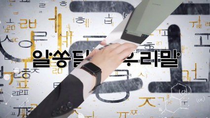알쏭달쏭 우리말 23회