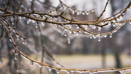Une descente d’air polaire arrive ce week end, les premières gelées annoncées en France