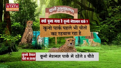 Madhya Pradesh News : कूनो नेशनल पार्क में रहेंगे 8 चीते, 17 सितंबर को पीएम देंगे देश को तोहफा।