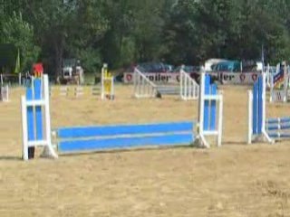 Zorro au Paladin ( concours 60cm )